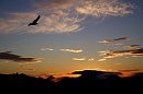 Warrumbungle Sunrise Warrumbungle Sunrise